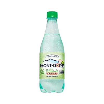 EAU PETILLANTE MONT DORE