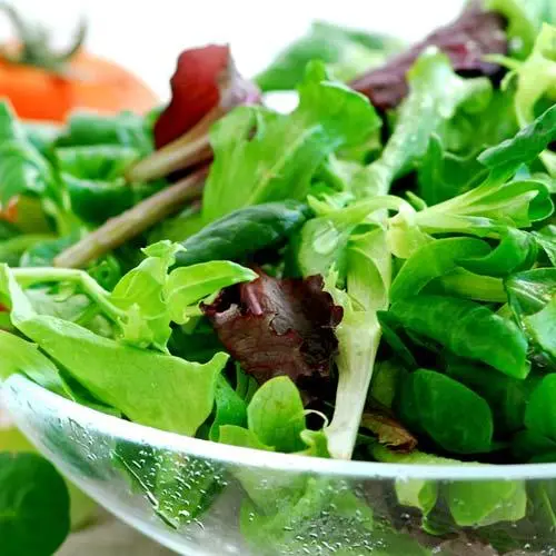 [SALADE] SALADE COMPOSÉE